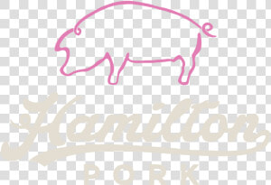 Hamilton Logo Png   Hamilton Pork  Transparent Png