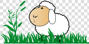 Transparent Sheep Cartoon Png   Transparent Background Sheep Clipart  Png Download