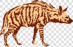 Grab And Download Hyena Png Image Without Background   Transparent Background Hyena Clipart  Png Download