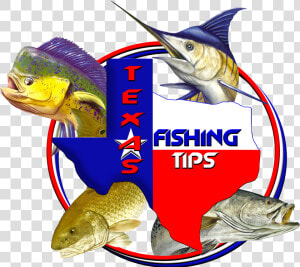 Fishing Maps Corpus Christi  HD Png Download