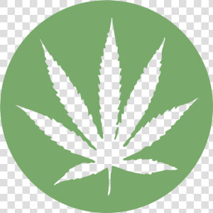 Transparent Weed Leaf Clipart   White Cannabis Leaf On Black Background  HD Png Download