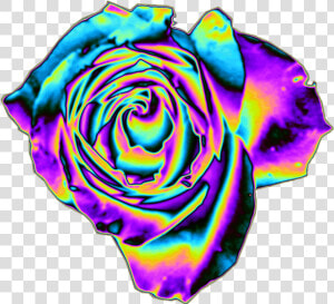  rose  holo  holographic  flower  iridescent  pastel   Rainbow Flowers Png  Transparent Png