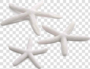 Biorb Starfish Set 3per Pk White 46134   Png Download   Biorb Starfish Set 3  Transparent Png