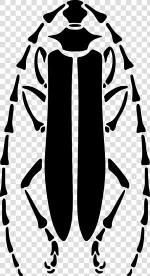 Hieroglyphics Drawing Scarab Beetle Transparent Png   Beetle Stencil  Png Download