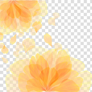 Flower Computer Pattern Wallpaper Texture Vector Orange   Illustration  HD Png Download