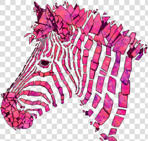 Pink Zebra T shirt   Cartoon Pink Zebra  HD Png Download