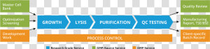 Plasmid Dna Manufacturing Process  HD Png Download