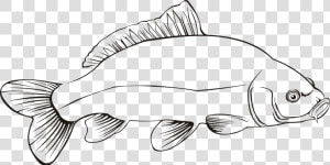 Line Art beak fish   Freshwater Fish Black And White Clipart  HD Png Download