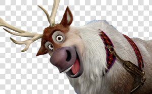 Download Frozen Sven Png Photo 164   Sven Frozen  Transparent Png