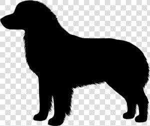 Tell A Friend   English Springer Spaniel Outline  HD Png Download