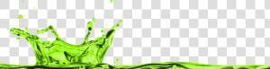 Mylemon Water Splash   Transparent Green Water Splash  HD Png Download