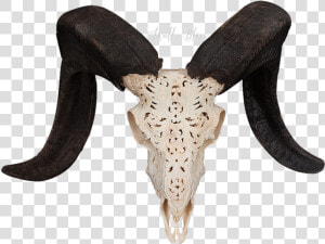 Carved Ram Skull   Ram Skull Png Transparent  Png Download