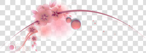 Asa   Cherry Blossom  HD Png Download