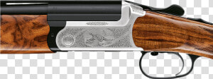 Blaser Bockgunte F3 Sistema De Lujo Páginas Faisanes   Blaser F3  HD Png Download