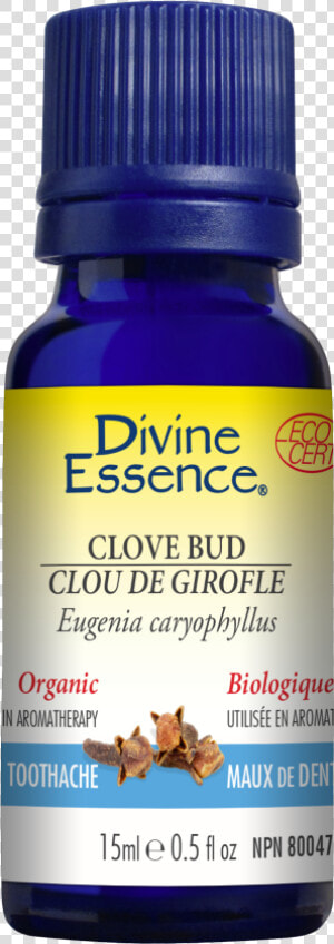 Divine Essence Tea Tree Oil  HD Png Download