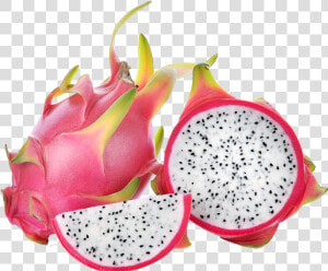 Pitaya  HD Png Download