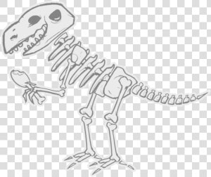 Dinosaur Bones Clipart   Dinosaur Skeleton Clipart Png  Transparent Png