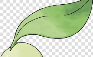 Pokemon Chikorita  HD Png Download