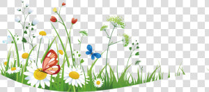 Wild Flowers With Grass   Flower Wild Grass Png  Transparent Png