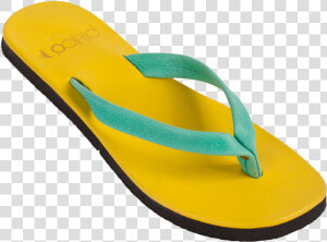 Flip Flop Png  Transparent Png