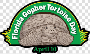 Gopher Tortoise Day   Florida Gopher Tortoise Day  HD Png Download