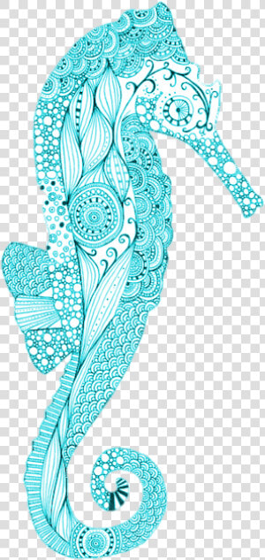 Seahorse  Blue  And Art Image   Seahorse Drawing  HD Png Download