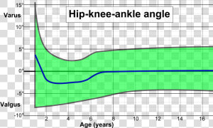 Hip Knee Ankle Angle By Age  HD Png Download