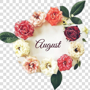  helloaugust  august  aout  agosto  flower  ftestickers   Garden Roses  HD Png Download