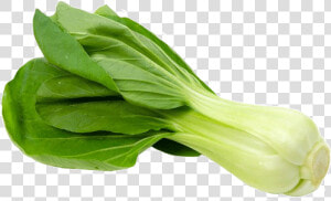 Vegetable leaf Sum leaf flower chinese Plant spinach romaine   Bok Choy In Italiano  HD Png Download