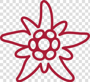 Red Painted Edelweiss Photo   Edelweiss Air Logo  HD Png Download