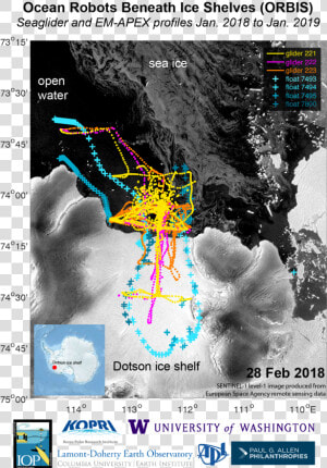 Colored Travel Paths Over Antarctic Map   Seaglider Dotson Ice Shelf  HD Png Download