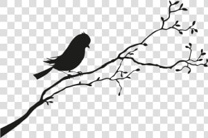 Bird Sparrow Silhouette   Black And White Bird Silhouette  HD Png Download