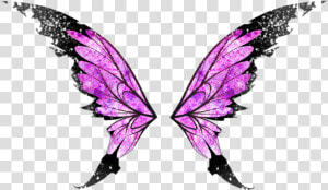  butterfly  butterflywings  wings  angel  angelwings   Transparent Background Fairy Wings Png Transparent  Png Download