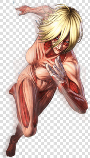 Colossal Titan Attack On Titan Png  Transparent Png