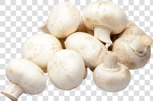 Champignon Mushroom  HD Png Download