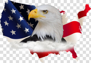 American Flag And Eagle   High Resolution American Flag Png  Transparent Png