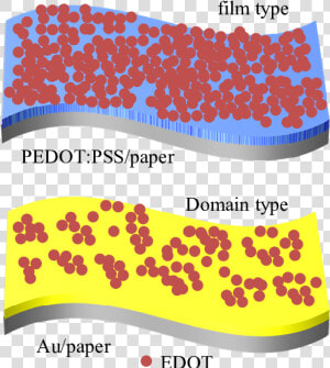 S3 Initial Stage Of Adsorption Of Edot Monomers On  HD Png Download