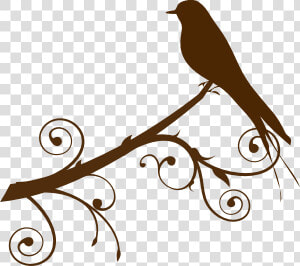 Free Vector Mockingbird Clip Art   Tree Branches Vector Png  Transparent Png