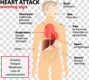 5 Signs Of A Heart Attack   Gastric Pain In Heart  HD Png Download