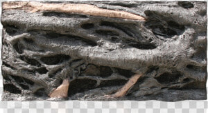 Driftwood  HD Png Download