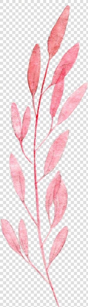 Ovate Leaf Pink Plant Illustration Watercolor Painting   Leaf Watercolor Paint Png  Transparent Png