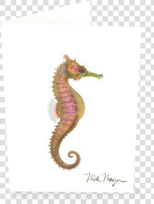 Estuary Seahorse   Northern Seahorse  HD Png Download