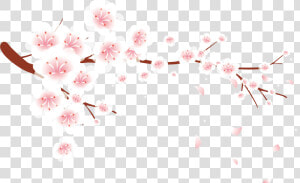 Petal  Blossom  Plum Blossom  Pink  Flower Png Image   Cherry Blossom Plum Blossom Flower  Transparent Png