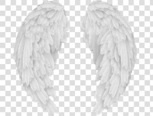 Angel Wings Png Baby Angel Wings Background   Transparent Background Angel Wings Png  Png Download