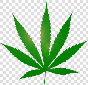 Cannabis Png Free Pic   Cannabis Png  Transparent Png