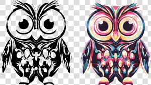 Owl  Búho Clip Arts   Imagen De Buho Png  Transparent Png