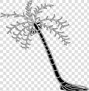 How To Draw Coconut Tree Drawing Easy 8 Steps  HD Png Download