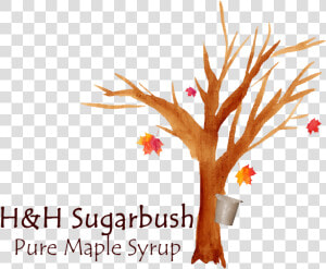 Hh Sugarbush Color Logo  HD Png Download