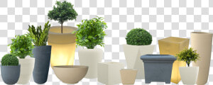 The Greatest Preferred Standpoint Of A Planter Would   Fox Flower Pot Yuccabe Italia Hd  HD Png Download