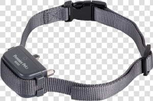 Transparent Pet Collar Png   Strap  Png Download